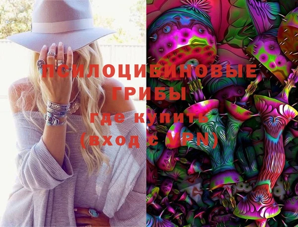 экстази Заводоуковск
