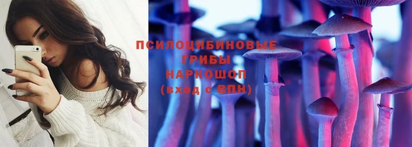 экстази Заводоуковск