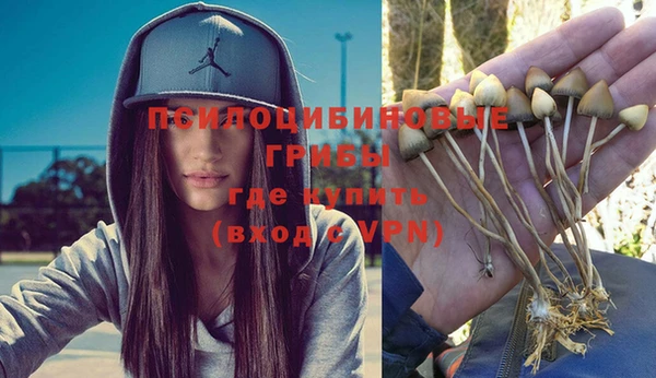 метадон Заволжье