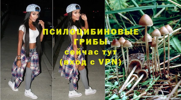 метадон Заволжье