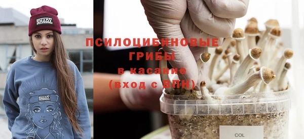 метадон Заволжье