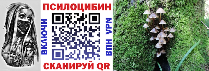 Купить  Зея  Псилоцибиновые грибы прущие грибы 